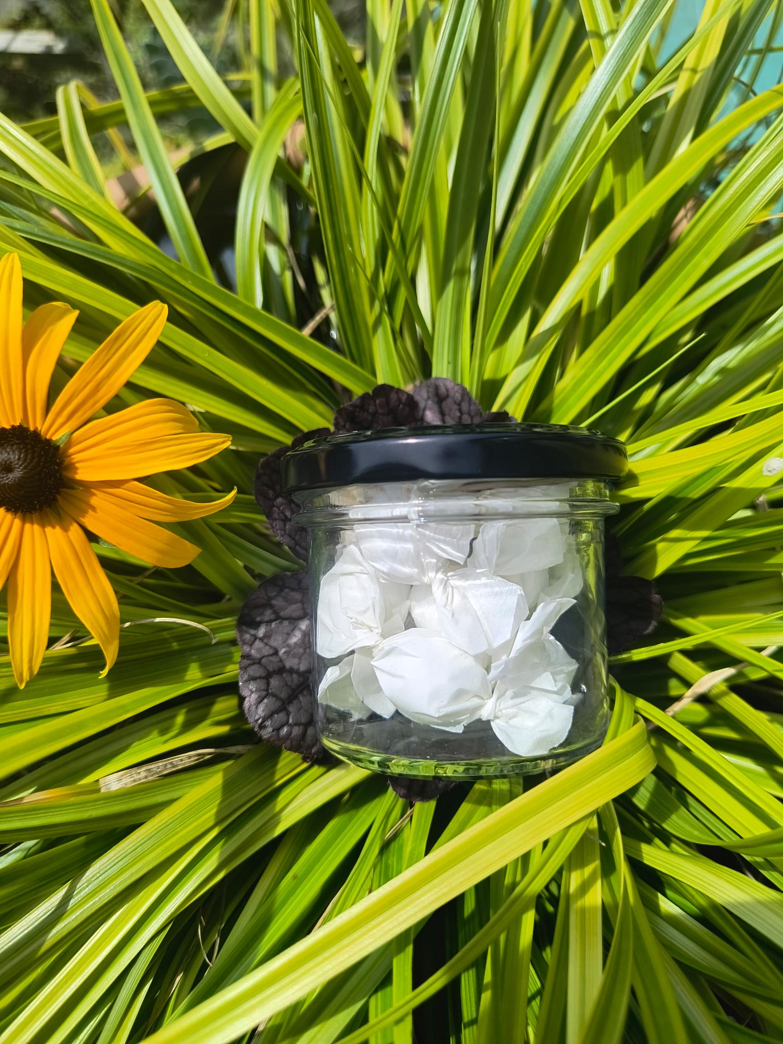 Gelbe Blume und Gras